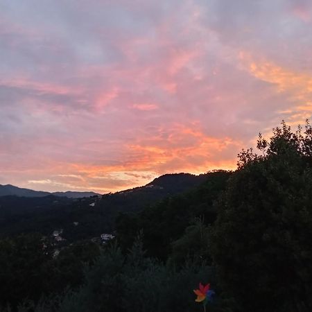 In Campagna Guest House La Spezia Luaran gambar