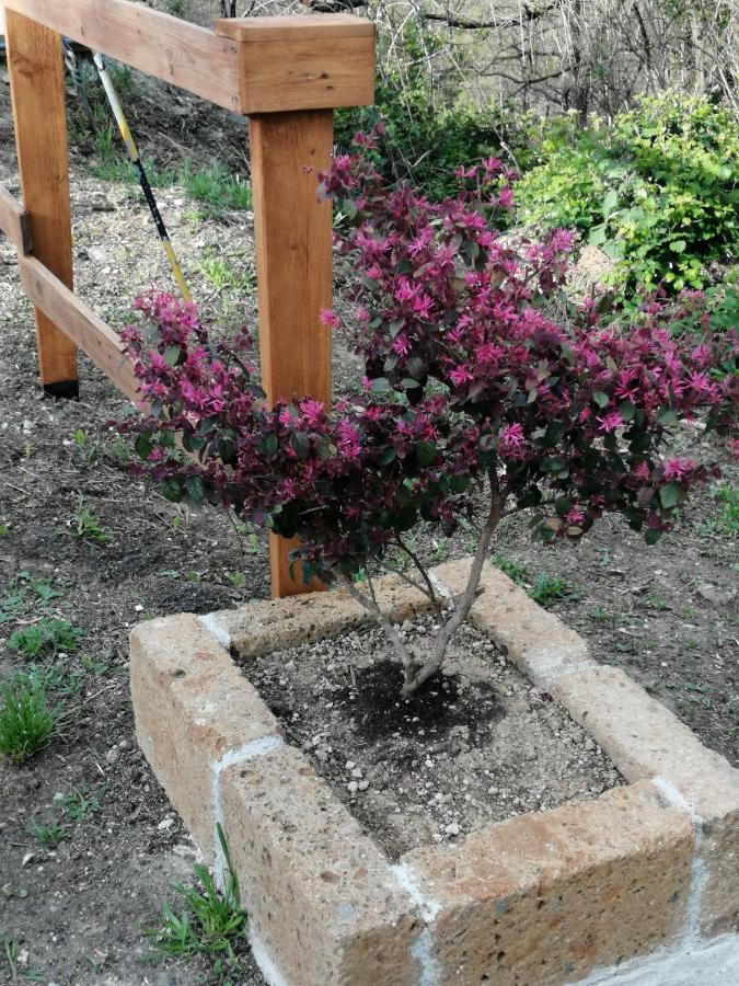 In Campagna Guest House La Spezia Luaran gambar