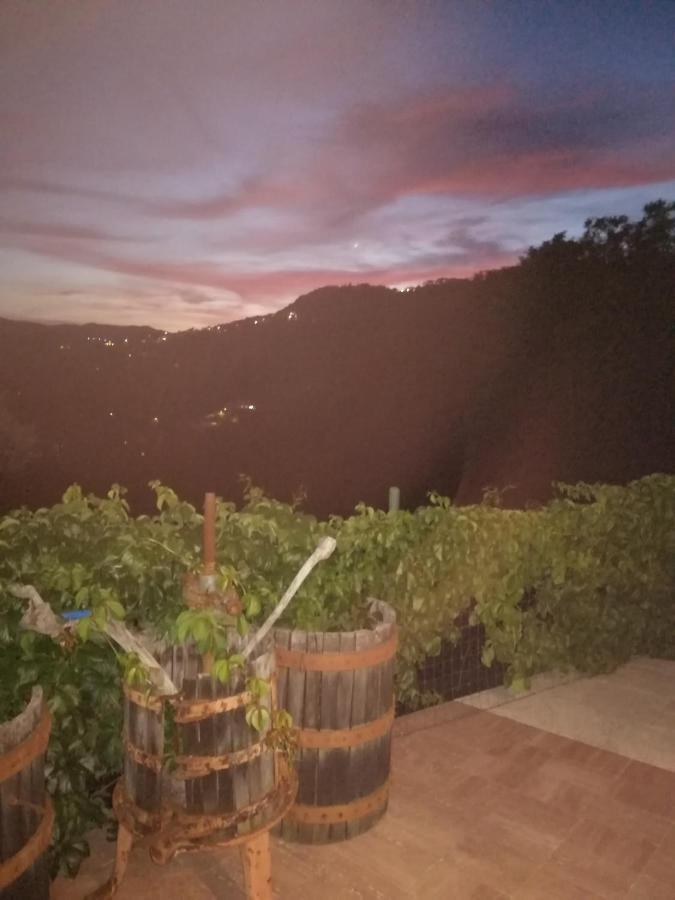 In Campagna Guest House La Spezia Luaran gambar